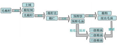 棉籽油壓榨工藝